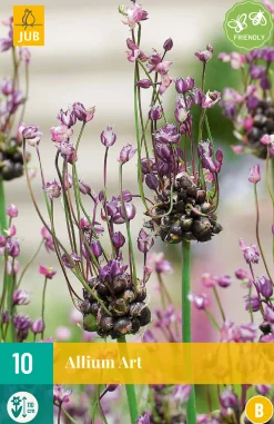 Bloembollen|Ecocheques|ohgreen 10 allium art