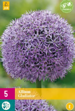 Bloembollen|Ecocheques|ohgreen 5 allium gladiator