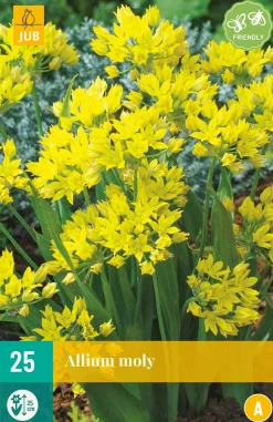 Bloembollen|Ecocheques|ohgreen 25 allium moly