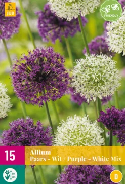 Bloembollen|Ecocheques|ohgreen 15 allium paars-wit mix