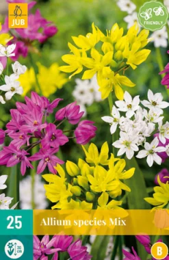 Bloembollen|Ecocheques|ohgreen 25 allium species mix