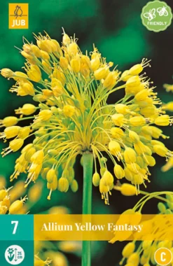 Bloembollen|Ecocheques|ohgreen 7 allium yellow fantasy
