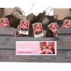 Bloembollen|Ecocheques|ohgreen 1 amaryllis rood-wit