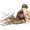 Bloembollen|Ecocheques|ohgreen 1 amaryllis roze-wit