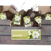 Bloembollen|Ecocheques|ohgreen 1 amaryllis wit
