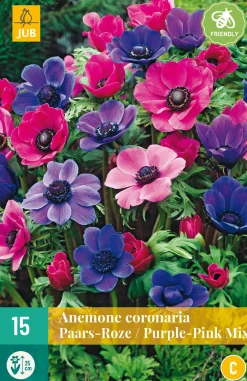 Bloembollen|Ecocheques|ohgreen 15 bloembollen anemone coronaria paars-roze mix
