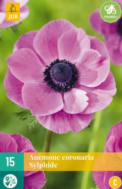 Bloembollen|Ecocheques|ohgreen 15 bloembollen anemone coronaria sylphide