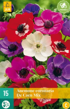 Bloembollen|Ecocheques|ohgreen 15 bloembollen anemone coronaria de caen mix