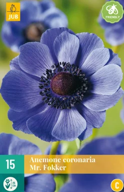 Bloembollen|Ecocheques|ohgreen 15 bloembollen anemone coronaria mr. fokker