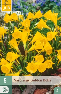 Ecocheques|Bloembollen|ohgreen 5 bloembollen narcissus golden bells