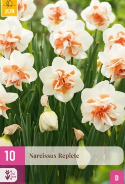 Ecocheques|Bloembollen|ohgreen 10 bloembollen narcissus replete