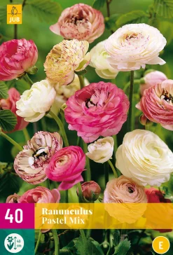 Bloembollen|Ecocheques|ohgreen 40 bloembollen ranunculus pastel mix