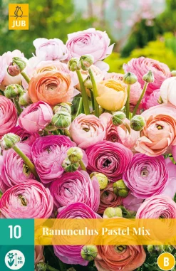 Bloembollen|Ecocheques|ohgreen 10 bloembollen ranunculus pastel mix