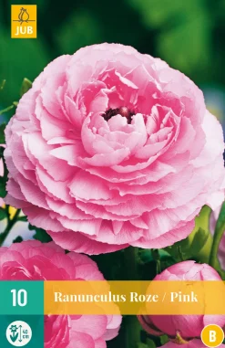 Bloembollen|Ecocheques|ohgreen 10 bloembollen ranunculus roze