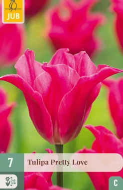 Ecocheques|Bloembollen|ohgreen 7 bloembollen tulipa pretty love