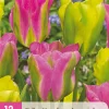 Bloembollen|Ecocheques|ohgreen 12 bloembollen tulipa strawberry lemonade