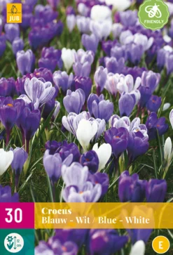 Bloembollen|Ecocheques|ohgreen 30 crocus blauw-wit