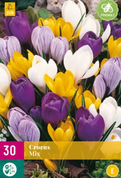 Bloembollen|Ecocheques|ohgreen 30 crocus grootbloemig mix