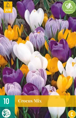 Bloembollen|Ecocheques|ohgreen 10 crocus grootbloemig mix
