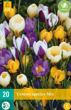 Bloembollen|Ecocheques|ohgreen 20 crocus species mix