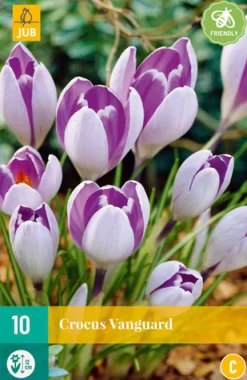 Bloembollen|Ecocheques|ohgreen 10 crocus vanguard