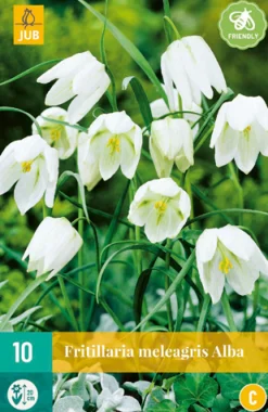 Bloembollen|Ecocheques|ohgreen 10 fritillaria meleagris alba