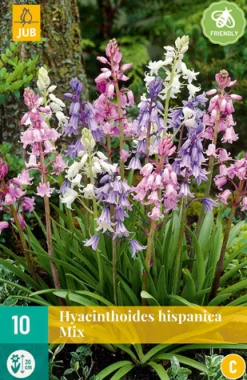 Bloembollen|Ecocheques|ohgreen 10 hyacinthoides hisp. mix