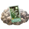 Bloembollen|Ecocheques|ohgreen 40 leucojum aestivum