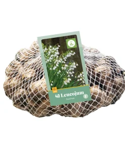 Bloembollen|Ecocheques|ohgreen 40 leucojum aestivum