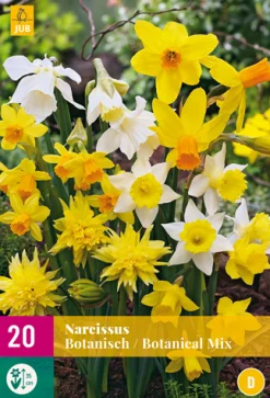 Bloembollen|Ecocheques|ohgreen 20 narcissus botanical mix
