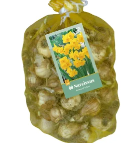 Bloembollen|Ecocheques|ohgreen 80 narcissus botanisch geel