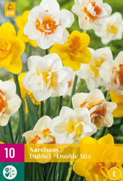 Bloembollen|Ecocheques|ohgreen 10 narcissus dubbel mix