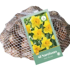 Bloembollen|Ecocheques|ohgreen 40 narcissus geel