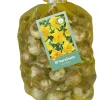 Bloembollen|Ecocheques|ohgreen 70 narcissus geel