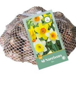 Bloembollen|Ecocheques|ohgreen 40 narcissus mix