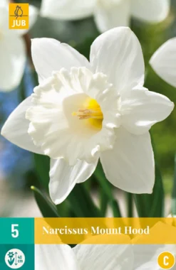 Bloembollen|Ecocheques|ohgreen 5 narcissus mount hood