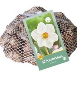 Bloembollen|Ecocheques|ohgreen 30 narcissus recurvus