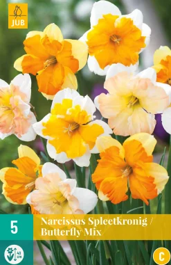 Bloembollen|Ecocheques|ohgreen 5 narcissus spleetkronig mix