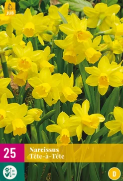 Bloembollen|Ecocheques|ohgreen 25 narcissus tête-à-tête