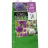 Bloembollen|Ecocheques|ohgreen 1 tas met 80 bollen bulb garden allium