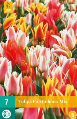 Bloembollen|Ecocheques|ohgreen 7 tulipa fun colours