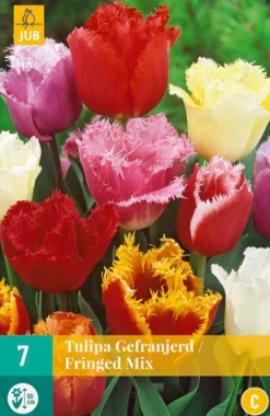 Bloembollen|Ecocheques|ohgreen 7 tulipa gefranjerd mix