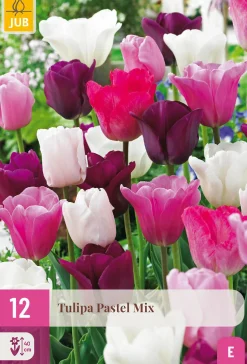 Bloembollen|Ecocheques|ohgreen 12 tulipa pastel mix