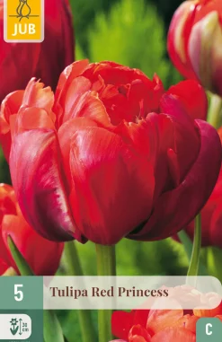 Bloembollen|Ecocheques|ohgreen 5 tulipa red princess