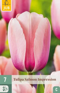 Bloembollen|Ecocheques|ohgreen 7 tulipa salmon impression