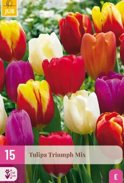 Bloembollen|Ecocheques|ohgreen 15 tulipa triumph mix