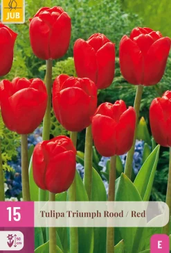 Bloembollen|Ecocheques|ohgreen 15 tulipa triumph rood