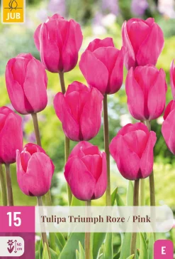 Bloembollen|Ecocheques|ohgreen 15 tulipa triumph roze