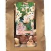 Bloembollen|Ecocheques|ohgreen 1 zak 25 bollen colour your garden peach blush