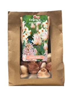 Bloembollen|Ecocheques|ohgreen 1 zak 25 bollen colour your garden peach blush